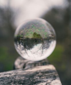 The Mindful Observer Change Framework