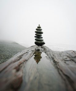 Mindfulness Foundations Starter Program