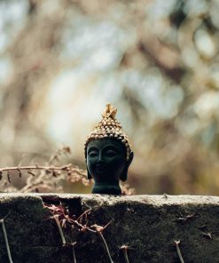 Emotional Harmony Meditation Collection