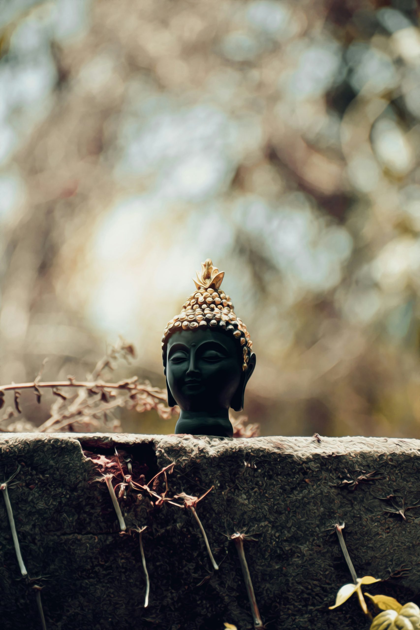 Emotional Harmony Meditation Collection